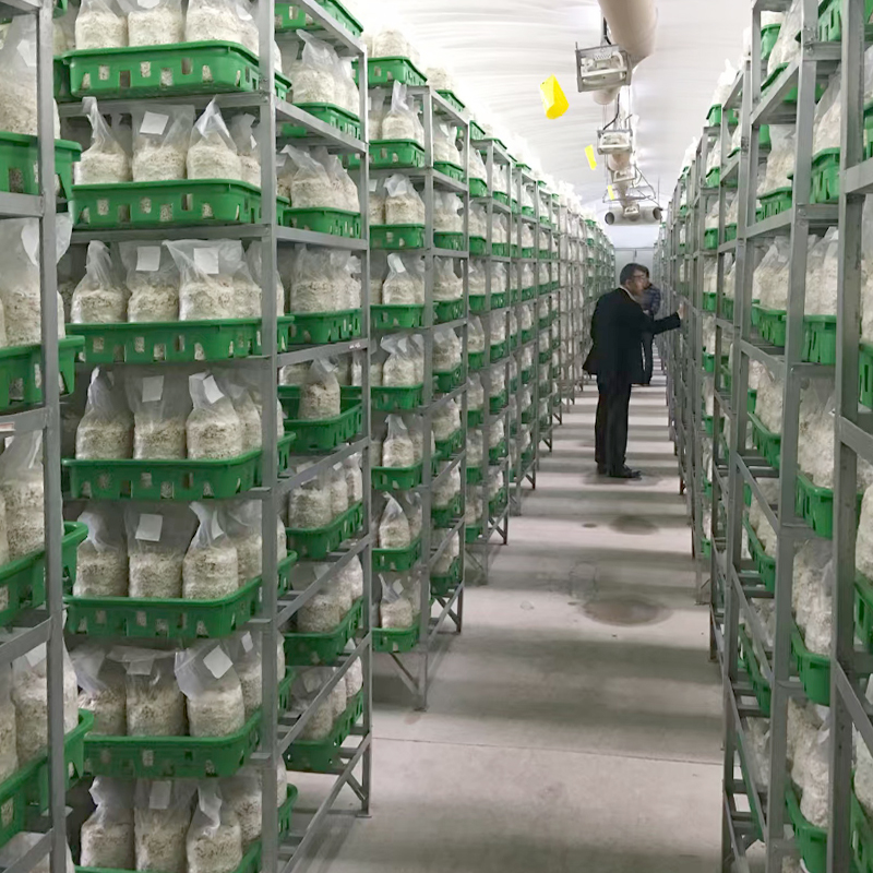 Technical Expert Dispatch